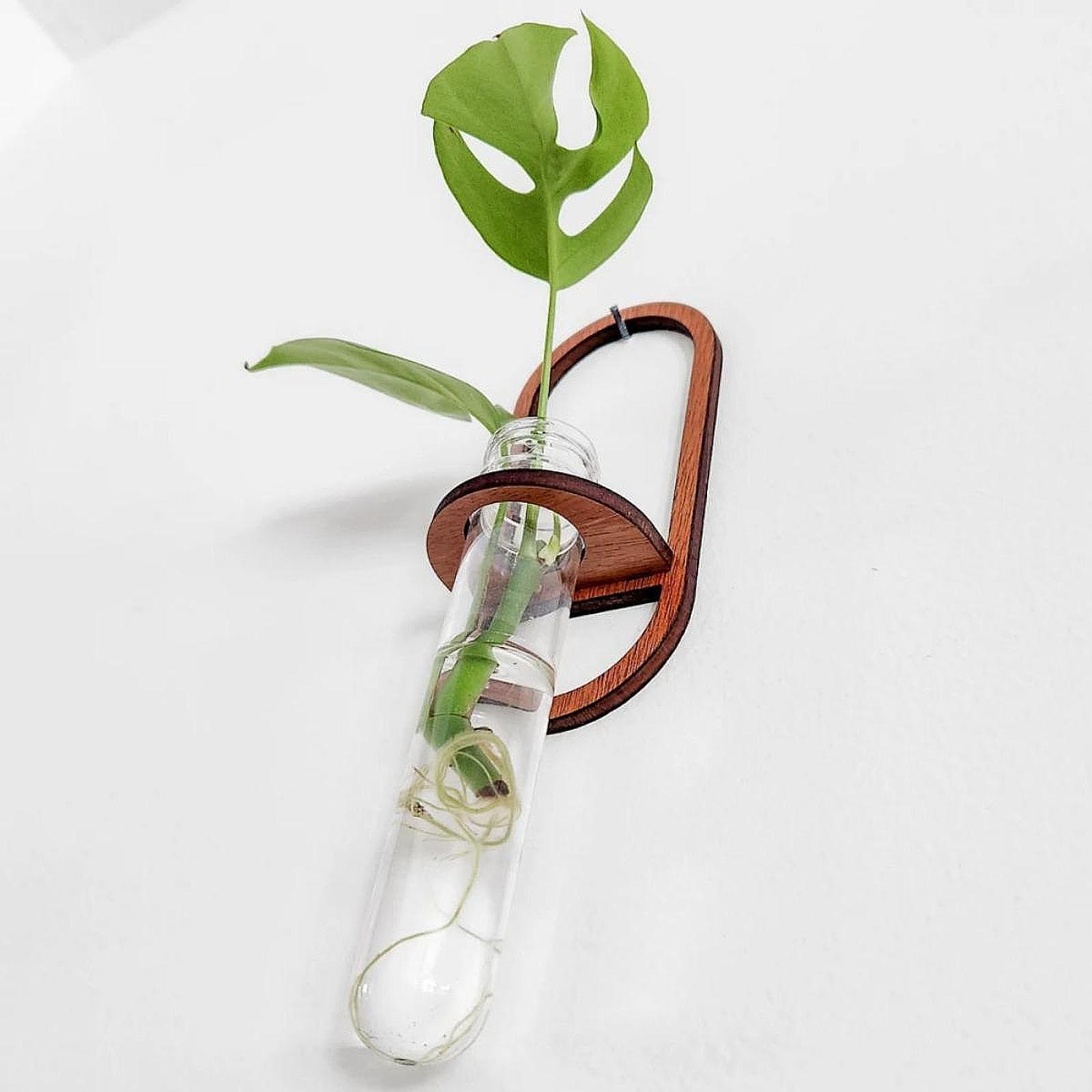 Propagation Station Vase - กระถางต้นไม้ไฮโดรโปนิกส์ ชั้นวางต้นไม้ไม้ติดผนัง สถานีเพาะชำในหลอดทดลอง สำหรับตกแต่งระเบียง หน้าต่าง ห้องนั่งเล่น