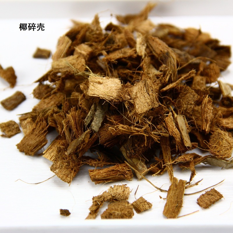 อิฐดินมะพร้าวสำหรับสัตว์เลื้อย - Sphagnum Moss Dry บทวิจารณ์และราคา