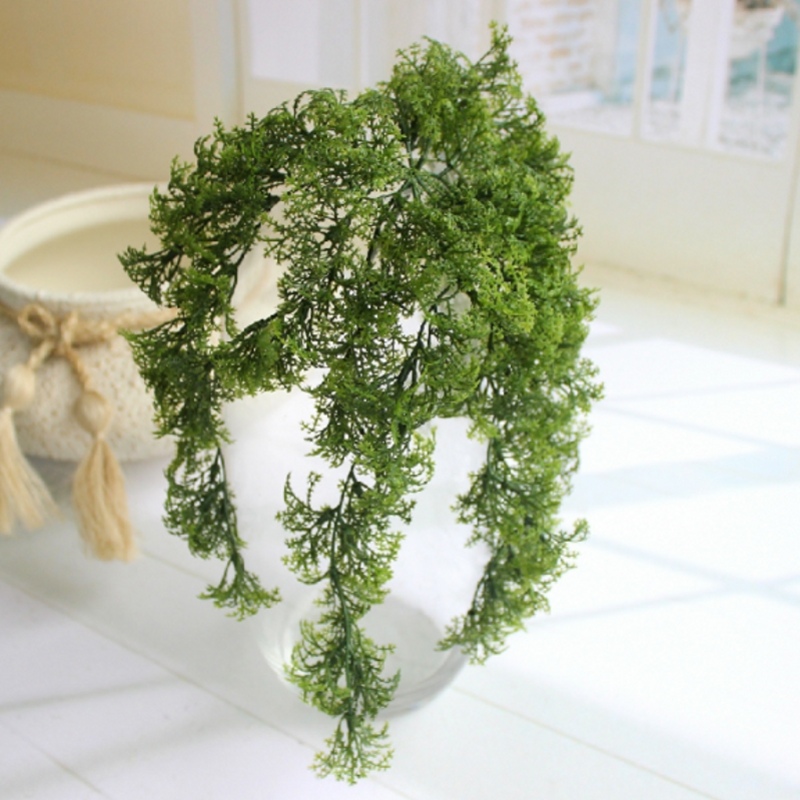 8 - 10 สาขาพลาสติกประดิษฐ์ MOS - Sphagnum Moss Dry บทวิจารณ์และราคา