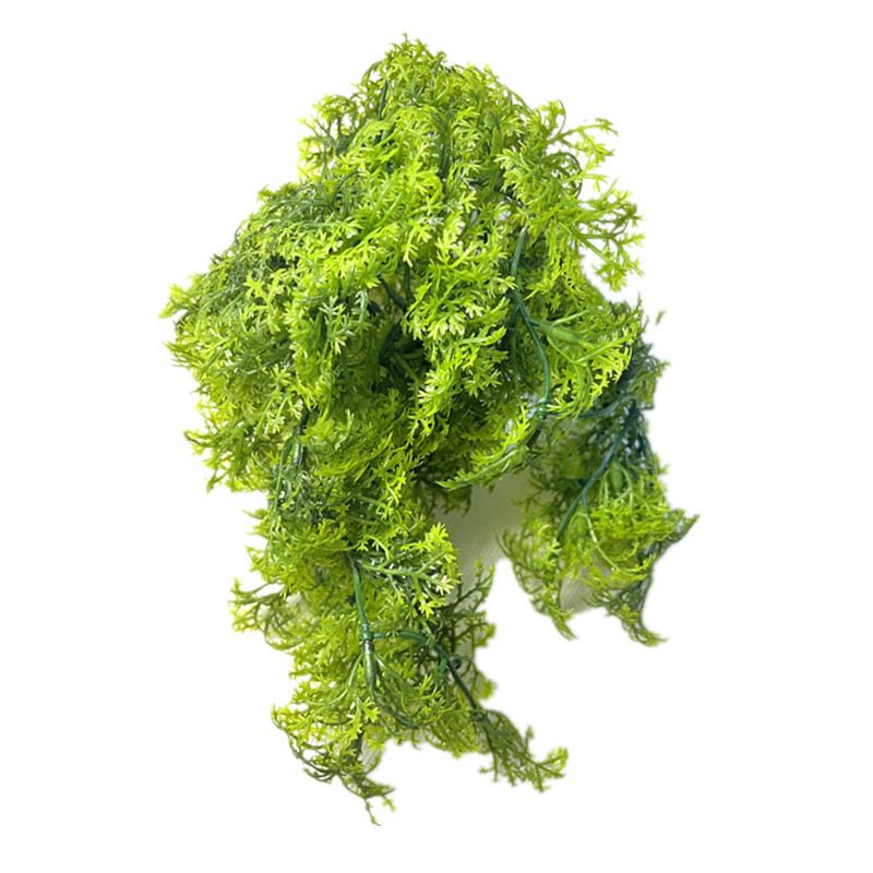8 - 10 สาขาพลาสติกประดิษฐ์ MOS - Sphagnum Moss Dry บทวิจารณ์และราคา