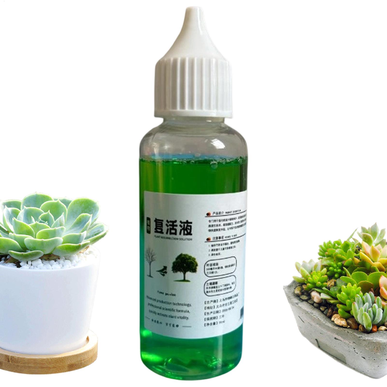 สารกระตุ้นรากสำหรับพืช สารเร่ง - Root Stimulator Liquid บทวิจารณ์และราคา