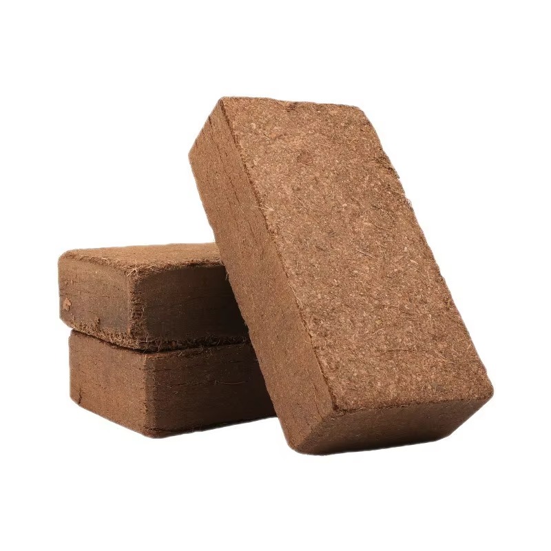 วัสดุปูรองนอนสำหรับสัตว์เลื้อย - Sphagnum Moss Dry บทวิจารณ์และราคา