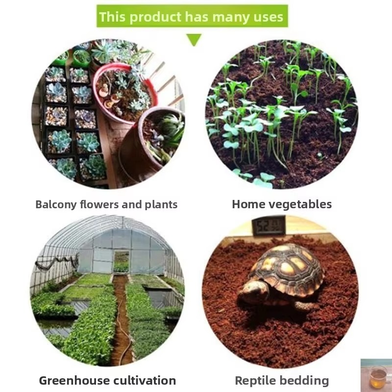 วัสดุปูรองนอนสำหรับสัตว์เลื้อย - Sphagnum Moss Dry บทวิจารณ์และราคา
