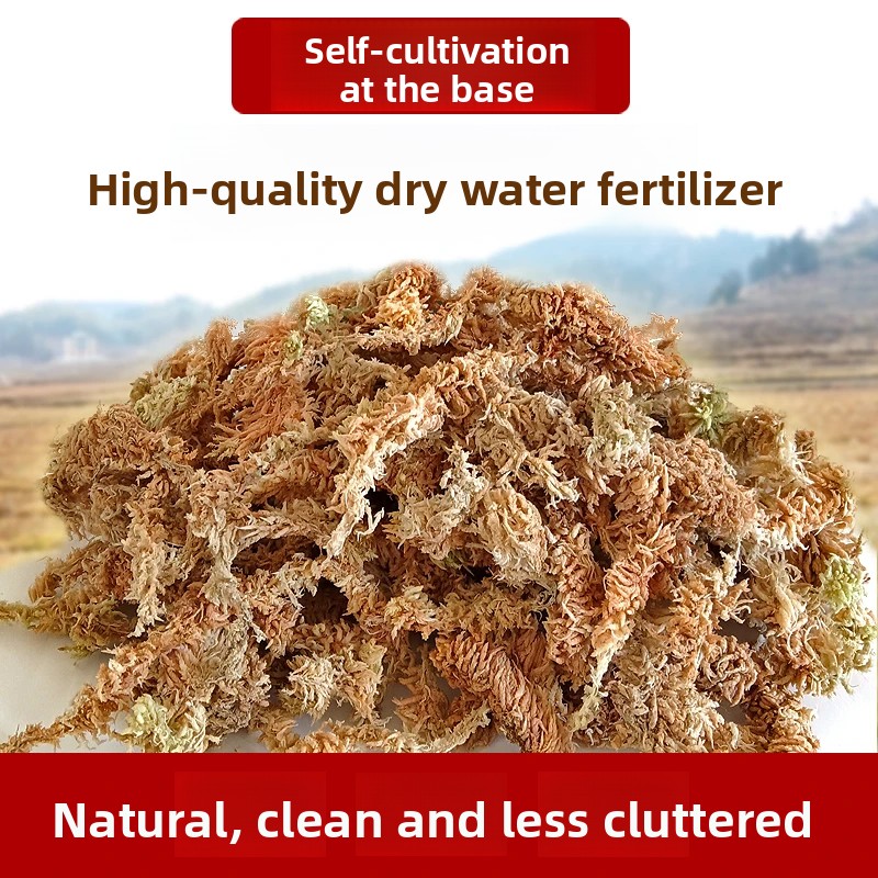 มอสส์สปฟักนัมเกรดเอแบบแห้ง, วั - Sphagnum Moss Dry บทวิจารณ์และราคา