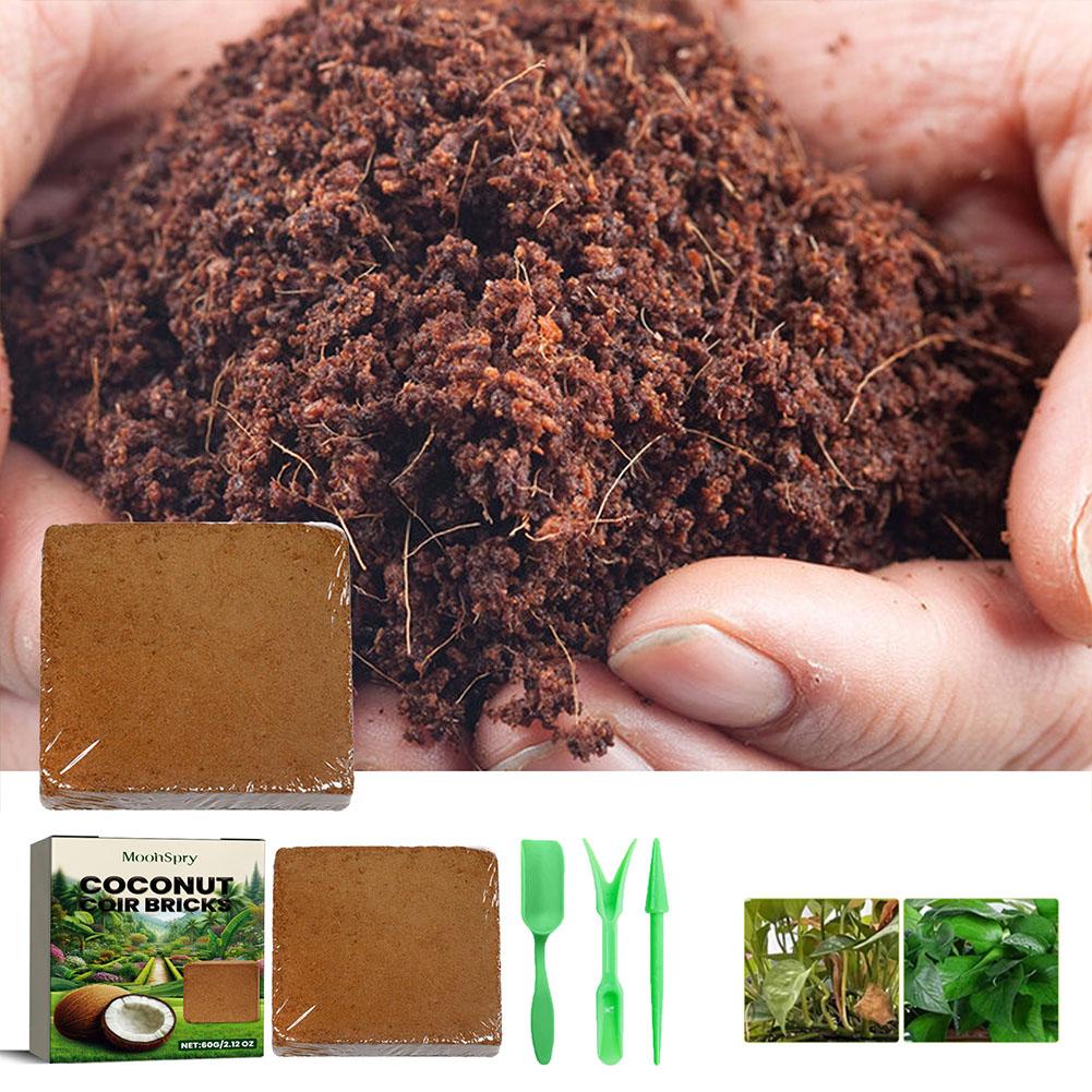 อิฐใยมะพร้าว - วัสดุปลูกพืชออร - Sphagnum Moss Dry บทวิจารณ์และราคา