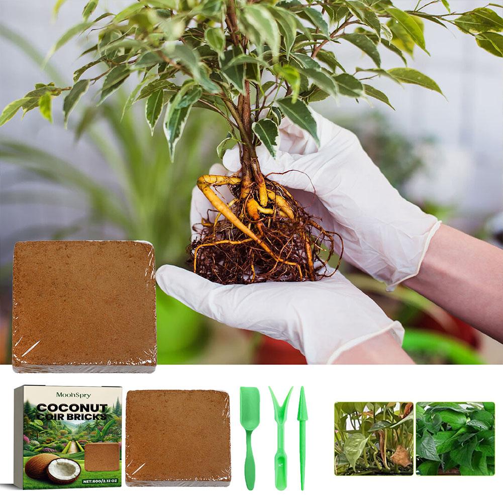 อิฐใยมะพร้าว - วัสดุปลูกพืชออร - Sphagnum Moss Dry บทวิจารณ์และราคา
