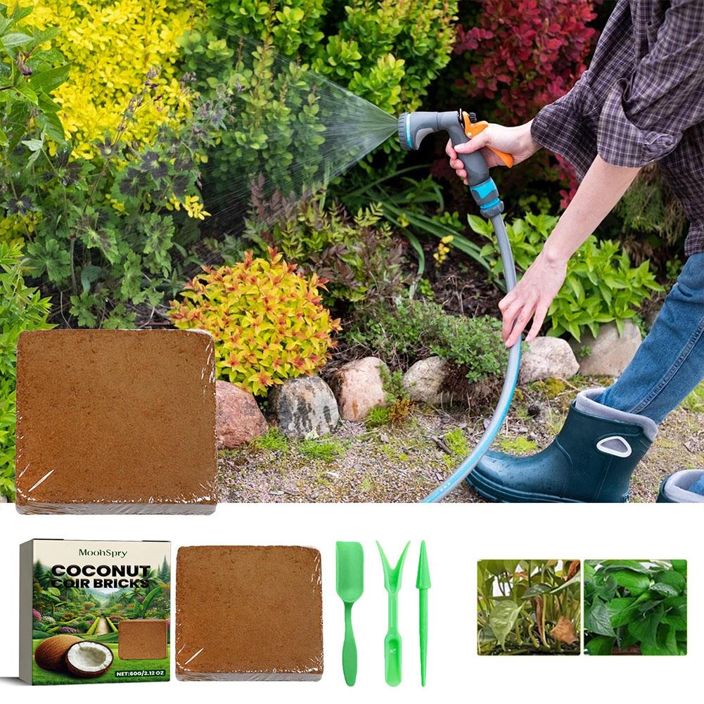 อิฐใยมะพร้าว - วัสดุปลูกพืชออร - Sphagnum Moss Dry บทวิจารณ์และราคา