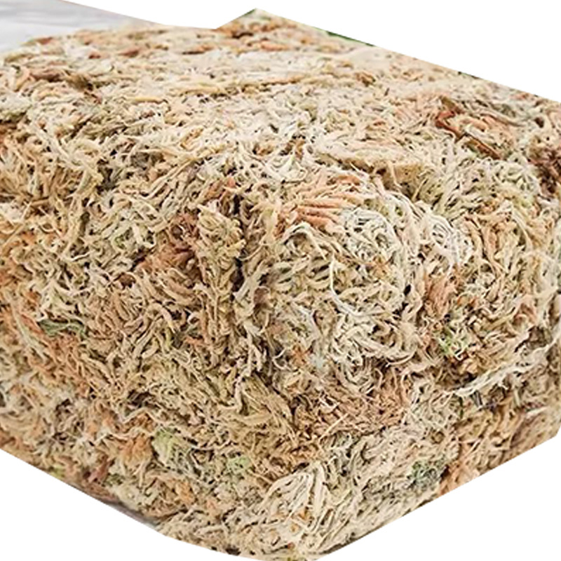 วัสดุปลูกกล้วยไม้สำหรับตู้เลี้ - Sphagnum Moss Dry บทวิจารณ์และราคา