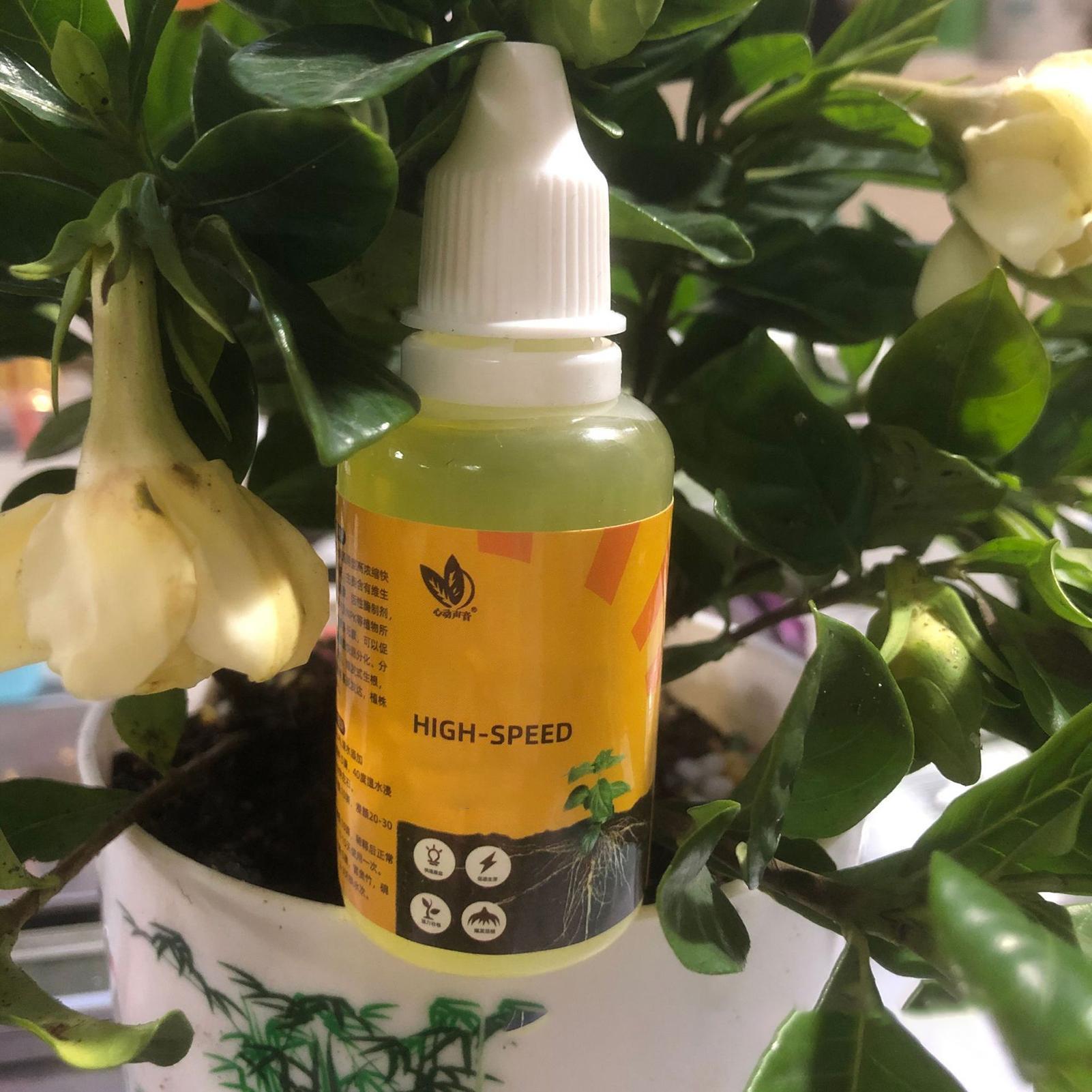 50 มล. น้ำยากระตุ้นการงอกของพื - Root Stimulator Liquid บทวิจารณ์และราคา