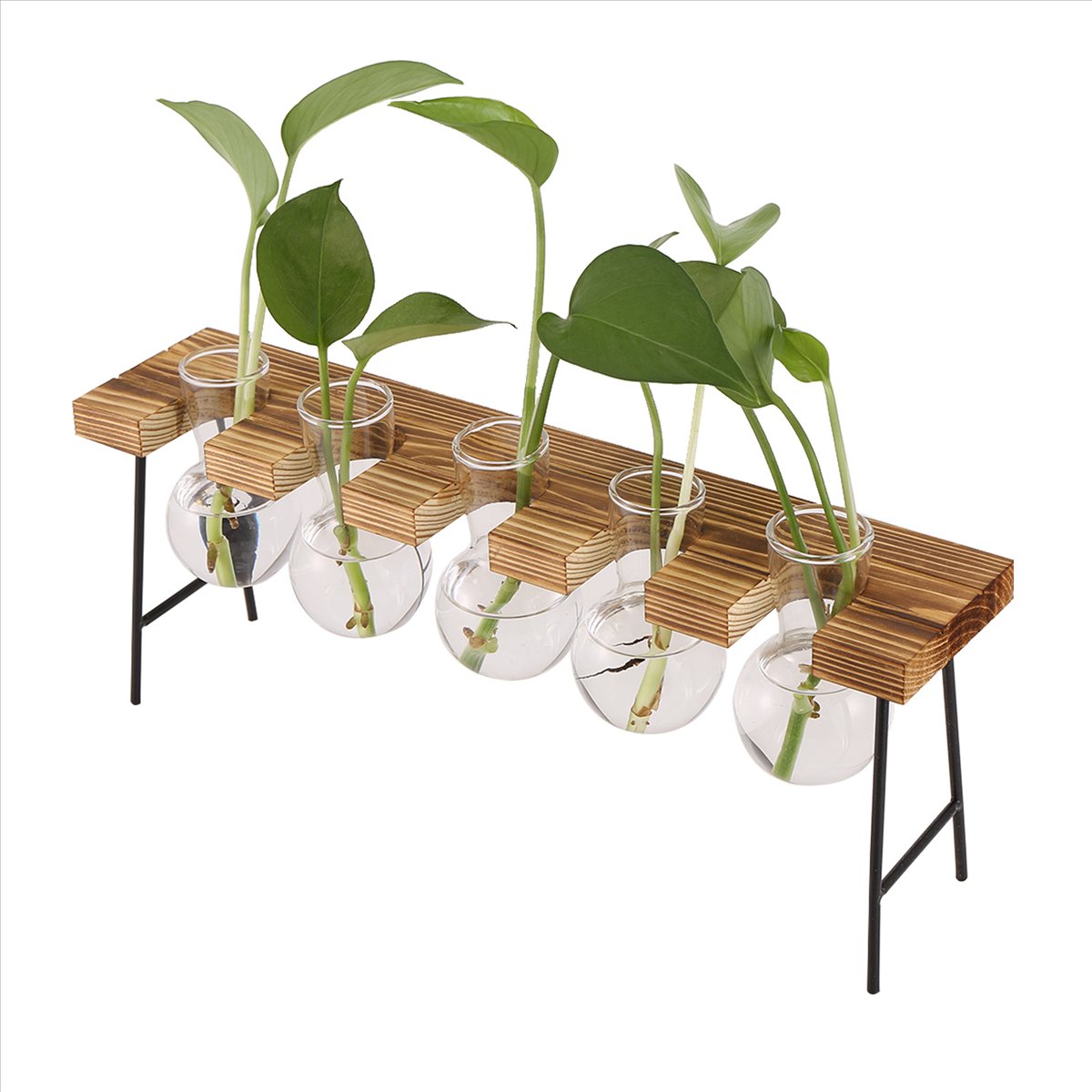 สถานีเพาะพันธุ์ ABFS สำหรับปลู - Propagation Station Vase บทวิจารณ์และราคา