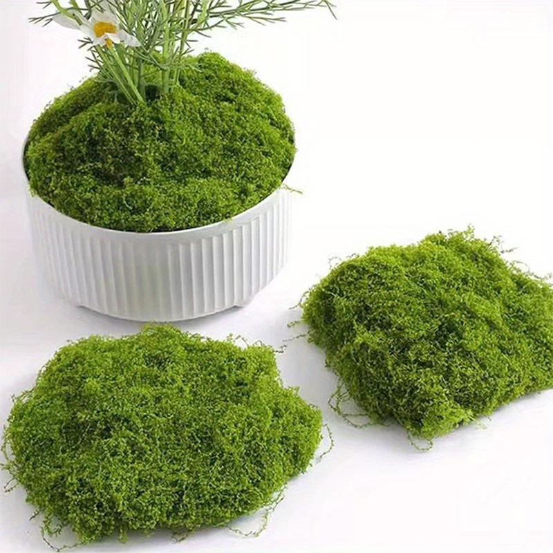 สีเขียวปลอม Moss งานฝีมือ DIY  - Sphagnum Moss Dry บทวิจารณ์และราคา