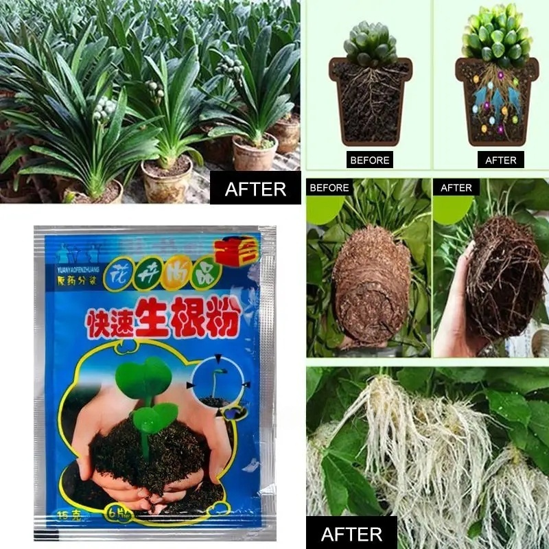 ผงเร่งราก 5 ชิ้น สารเร่งรากเร็ - Root Stimulator Liquid บทวิจารณ์และราคา